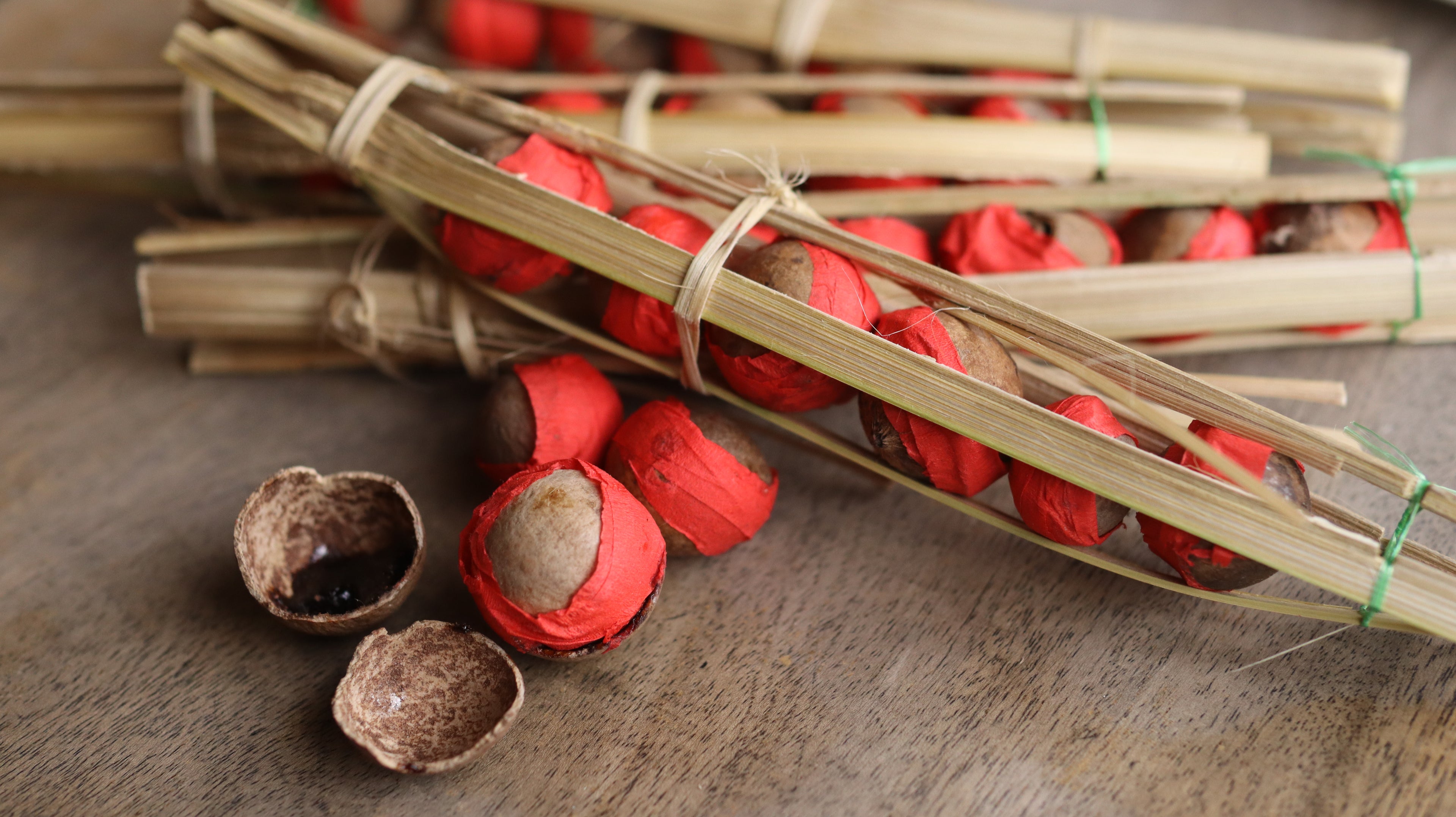coconut shell halves