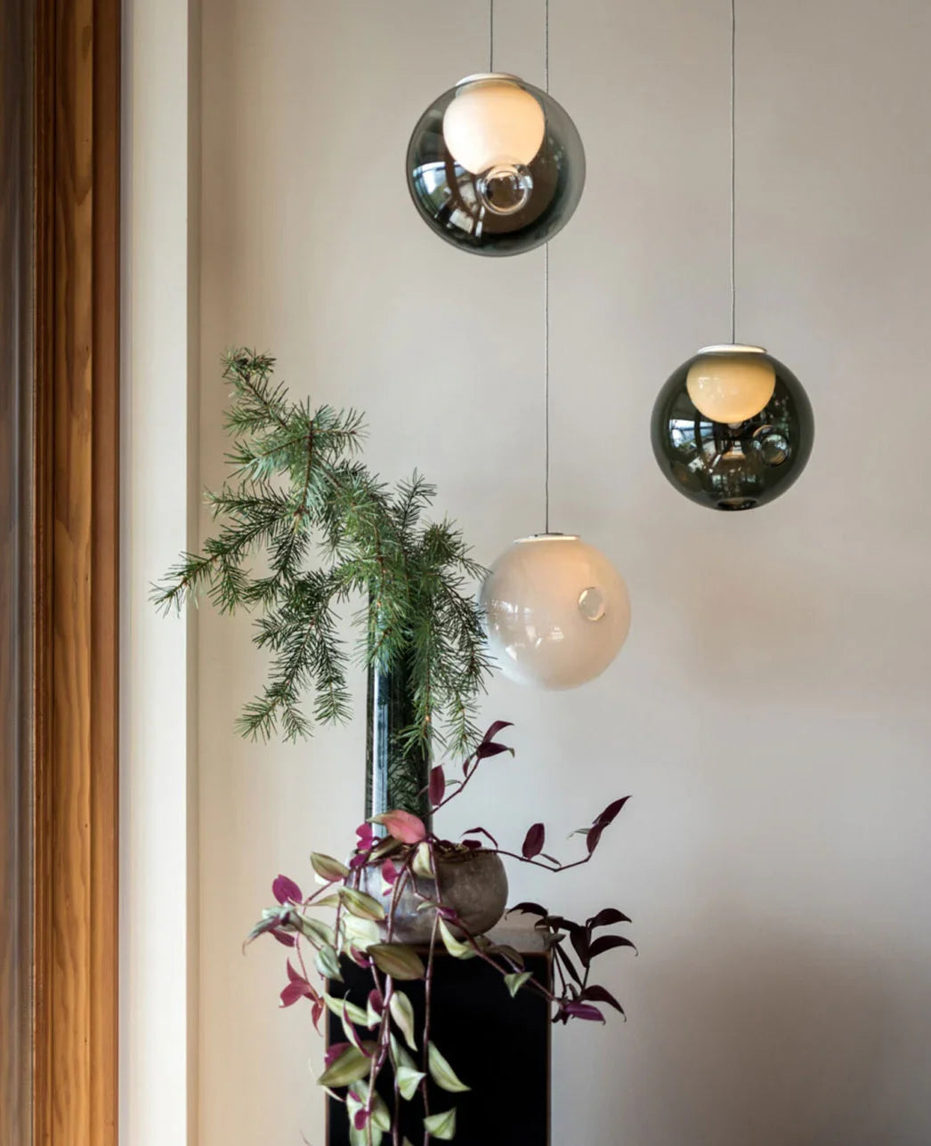 Chandelier with three glass globes in smoked grey and white hanging beside a green plant on a dark cabinet