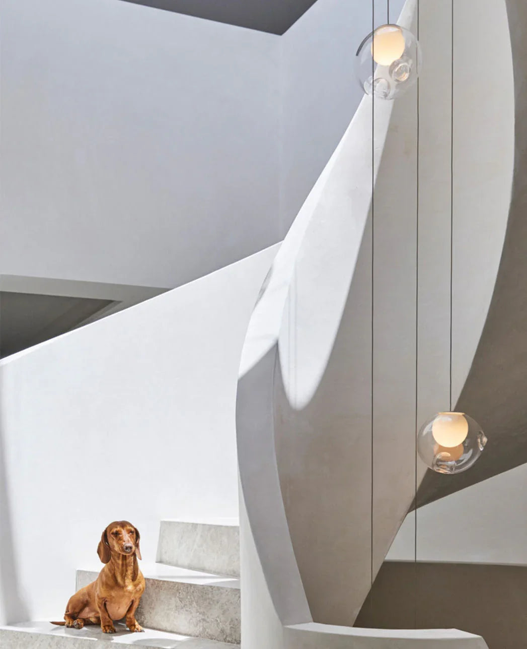 Clear glass globe chandelier hangs through a white sculptural stairwell, with glowing lights and a dog sitting on the steps.