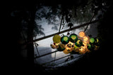 A chandelier with clustered green, yellow, and amber glass globes hangs beneath a glass roof framed by dark foliage.