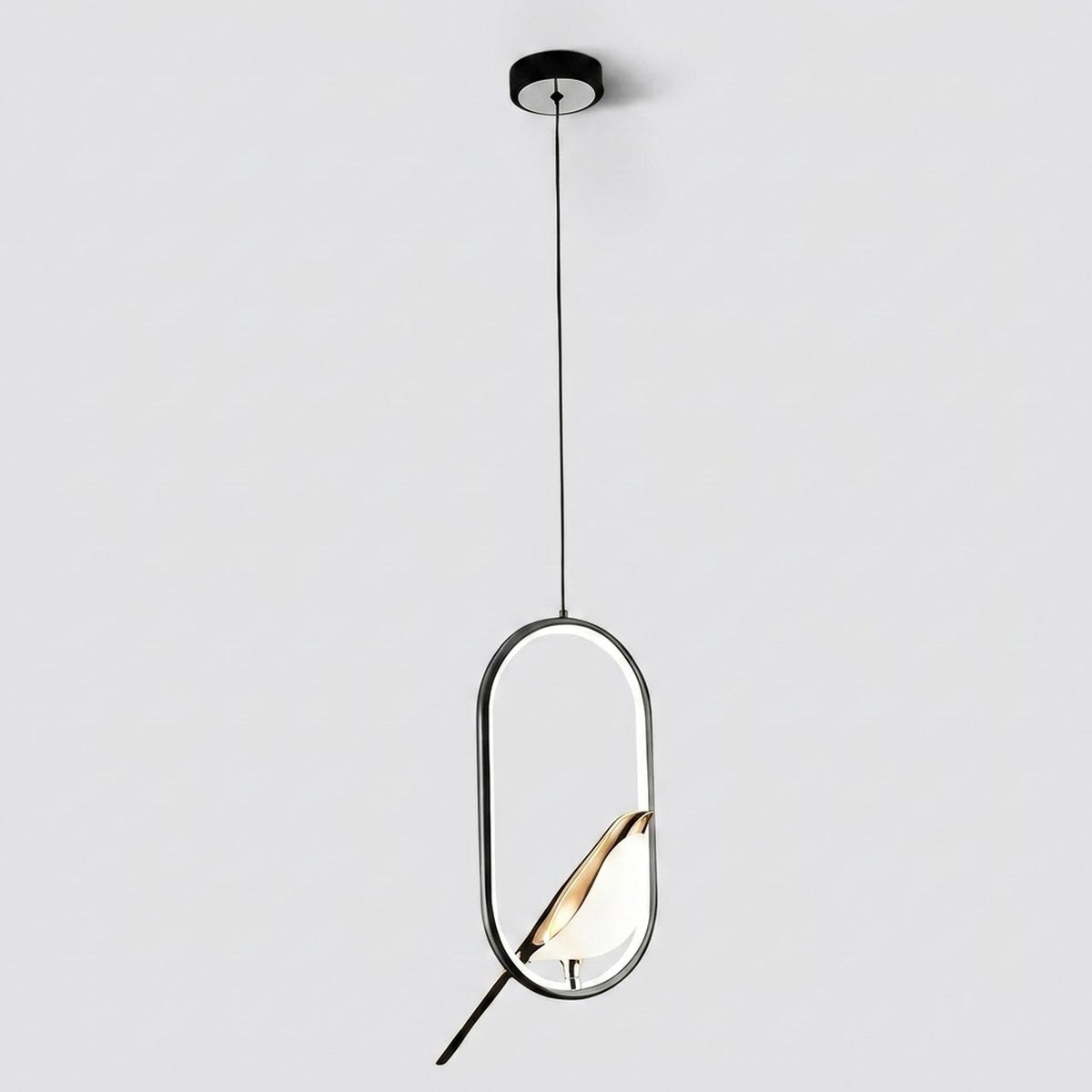 A modern pendant light fixture with a black circular ceiling canopy, a thin black suspension cord, and an elongated oval frame. The frame contains a warm gold-toned leaf-shaped light diffuser, casting a soft glow against a clean, light gray background.