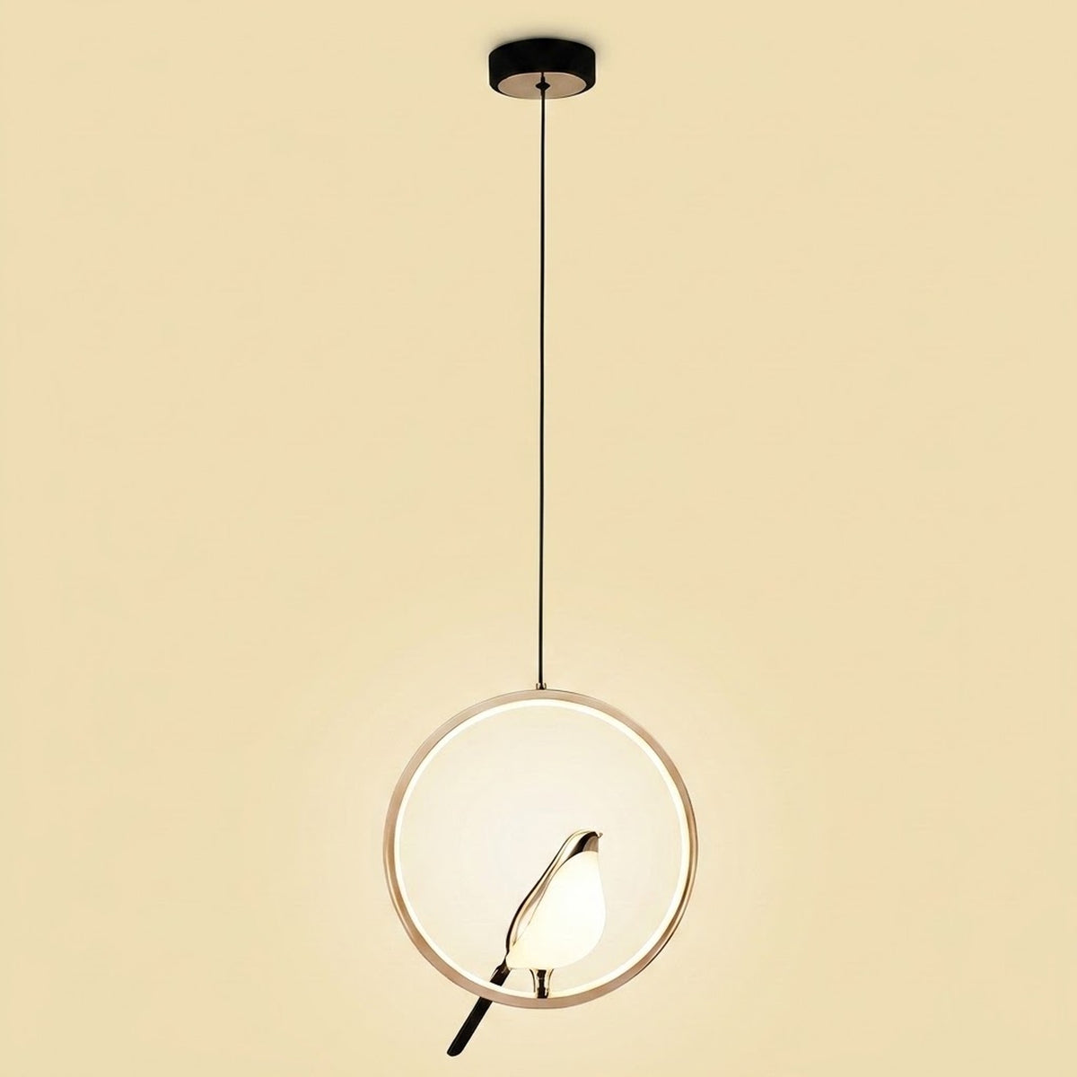 A modern pendant light with a circular white glass shade, a thin gold-toned metal frame, and a black hanging rod and canopy, shown against a solid beige background.