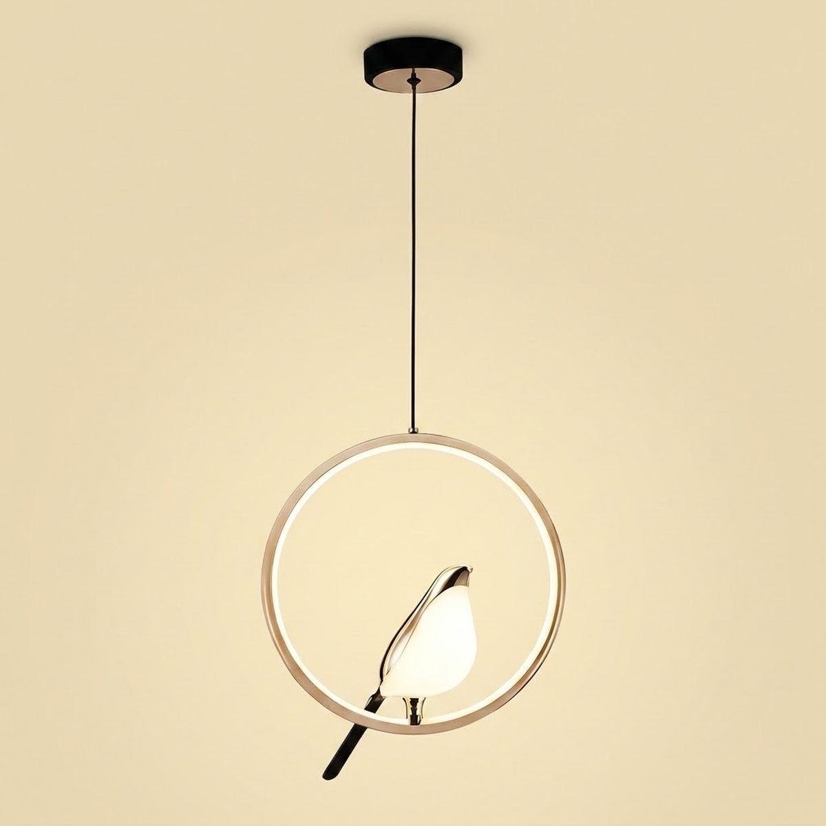 A modern pendant light with a circular ring frame, a glowing white bulb, and a black hanging rod and canopy against a warm beige background.