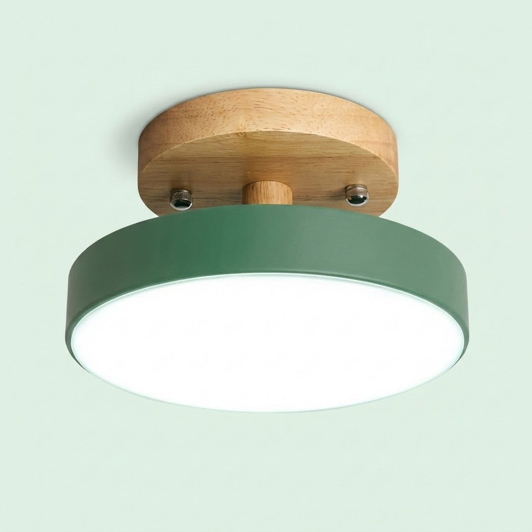 A modern flush-mount ceiling light fixture featuring a matte sage green shade, a natural wood ceiling canopy, and a white diffuser, shown against a solid pale mint green background.