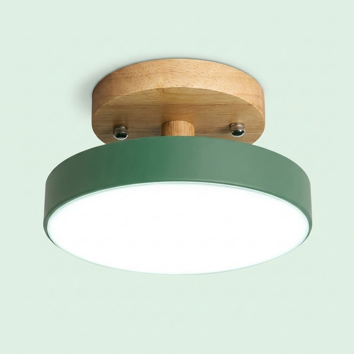 A modern flush-mount ceiling light fixture featuring a matte sage green shade, a natural wood ceiling canopy, and a white diffuser, shown against a solid pale mint green background.
