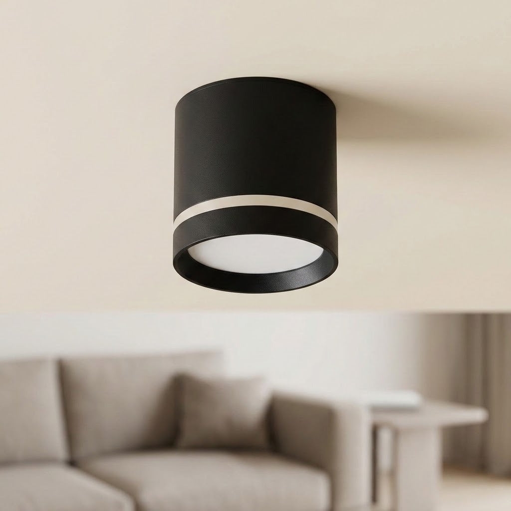 Black cylindrical LED downlight with a silver-colored band and white diffuser is ceiling-mounted above a blurred living room.