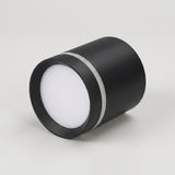 A black cylindrical LED downlight sits angled on its side against a light gray background, showing a white diffuser and silver trim.