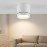 White cylindrical LED downlight with a gray accent band casts a warm glow above a sofa in a neutral living room.