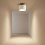 White LED downlight with wood trim illuminates an empty hallway, casting warm light onto the walls and floor.