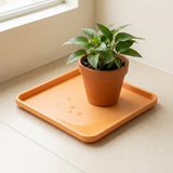 An orange square plastic tray with a small potted green plant on top, placed on a light beige floor near a window.