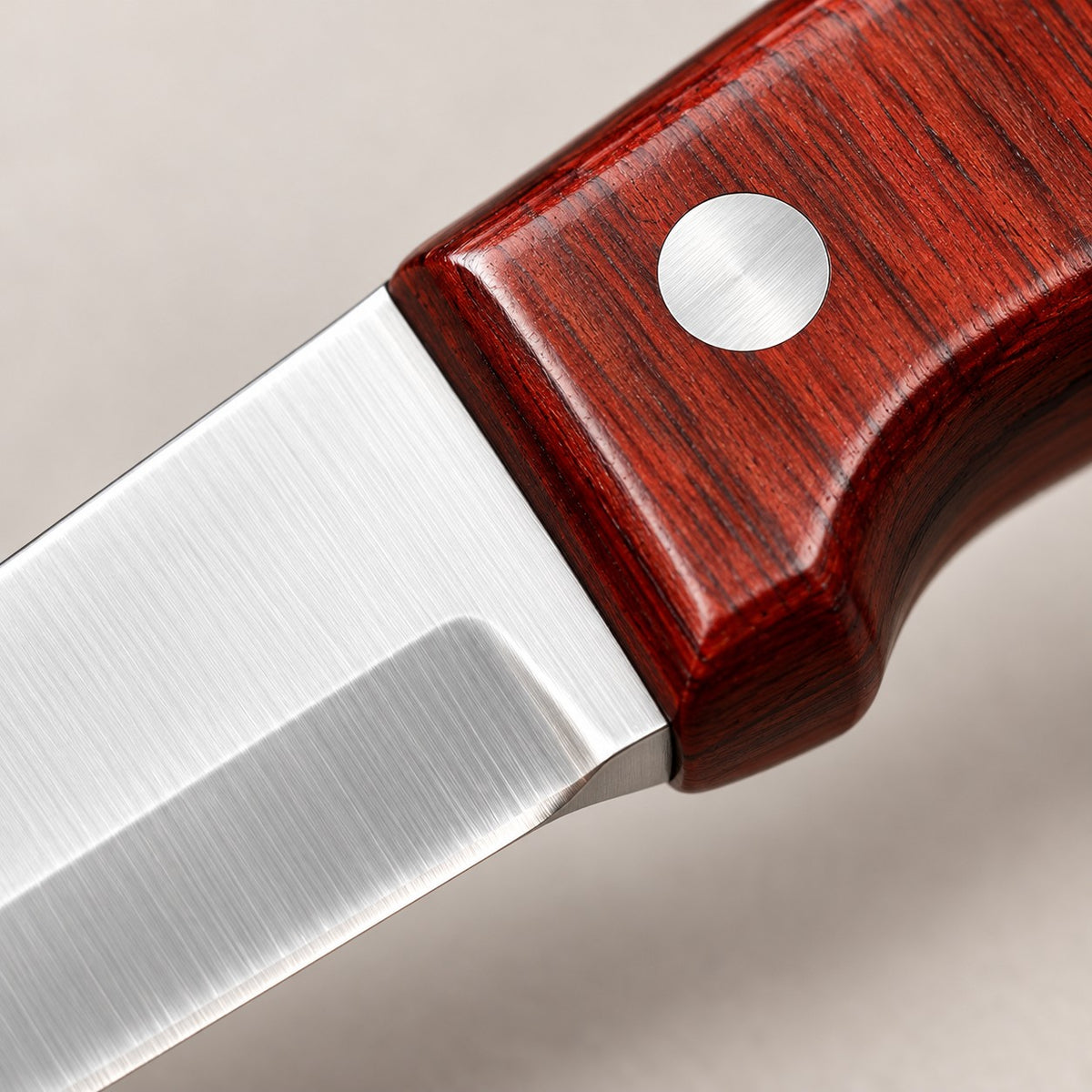 Macro view of the paring knife's polished stainless blade and reddish wood-grain handle finish.