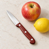 A stainless steel paring knife beside an apple and lemon shows its compact kitchen scale.
