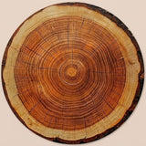 A circular wood slice wall art piece featuring natural tree growth rings and a dark bark edge, displayed against a solid light beige background.