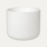 A minimalist white ceramic cup or small planter with a smooth matte finish, shown against a light off-white background.