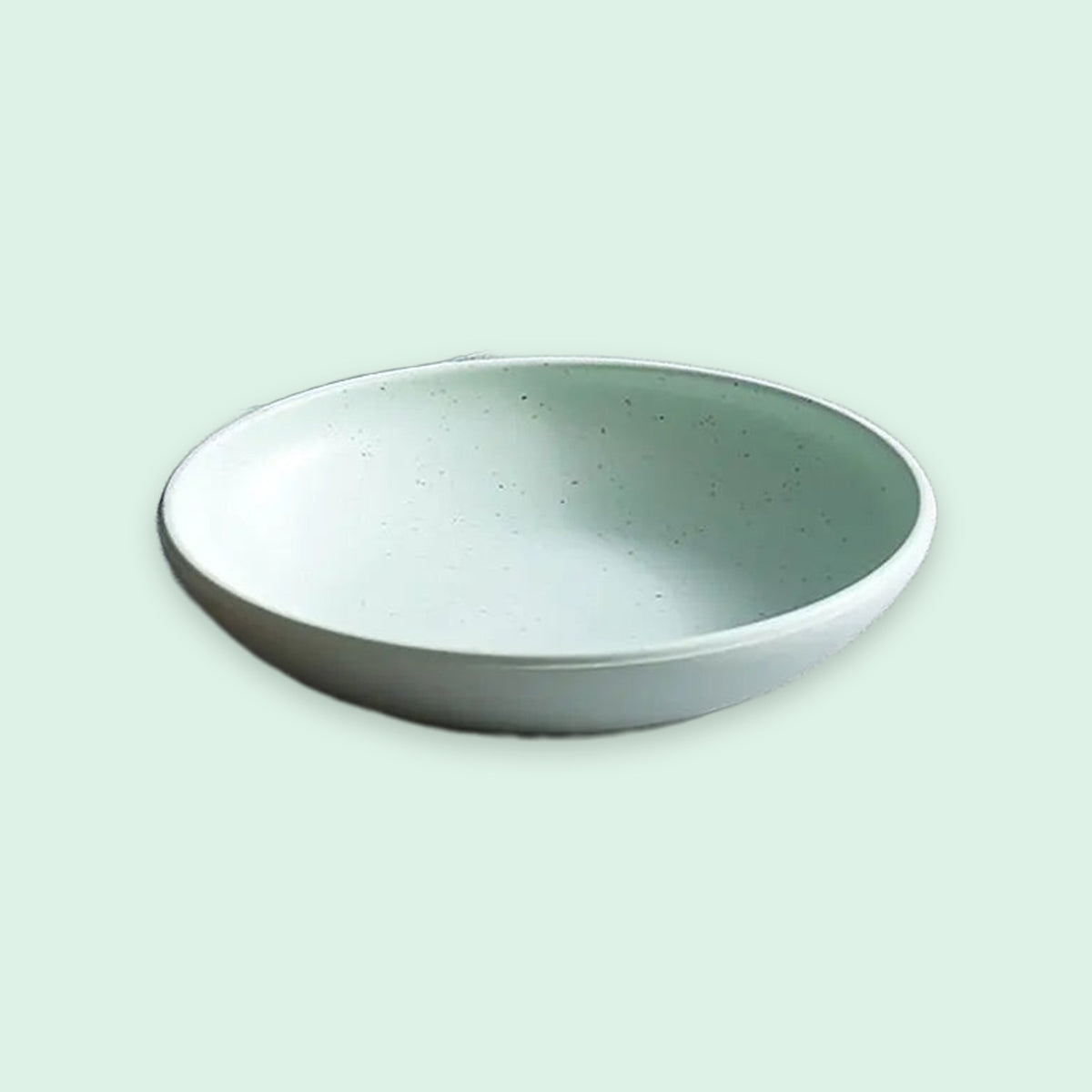 A shallow round ceramic bowl with a speckled finish, shown from a top-down perspective on a solid pale mint green background.
