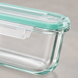 Clear glass food storage container with a mint green silicone seal and transparent plastic latch, shown on a neutral light gray background.