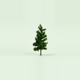 A dark green miniature model pine tree with a slim brown trunk on a pale green studio background, 3.9 inches (10 cm) tall.