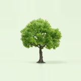 A model tree with rounded light green foliage and a dark textured trunk stands against a pale green background.