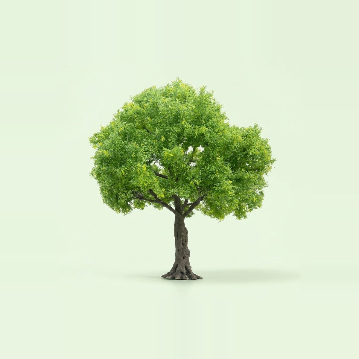 A model tree with rounded light green foliage and a dark textured trunk stands against a pale green background.