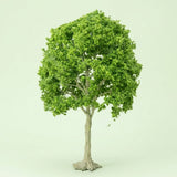 A model tree with dense light green foliage, exposed pale branches, and a tall pale trunk stands against a pale green background.