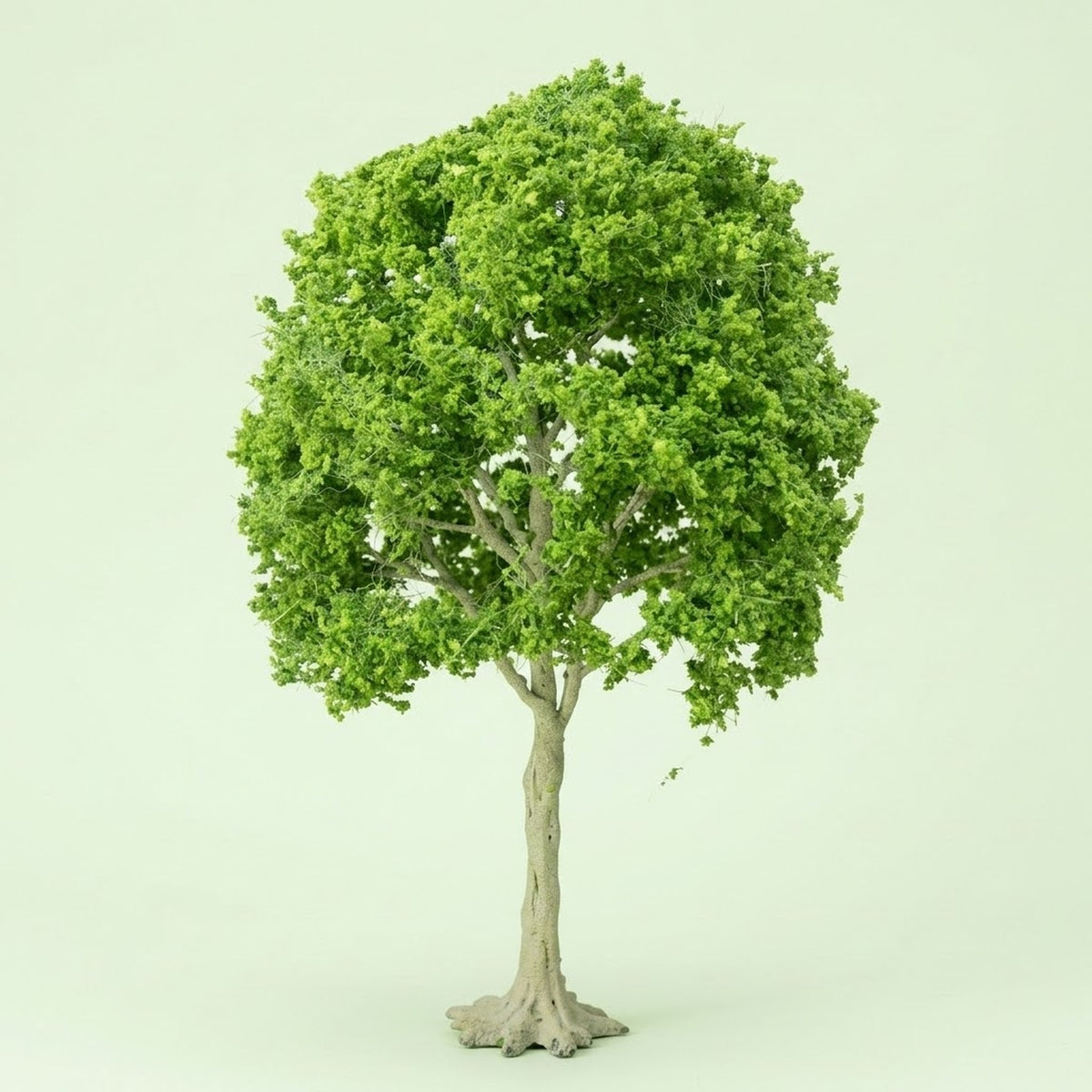 A model tree with dense light green foliage, exposed pale branches, and a tall pale trunk stands against a pale green background.