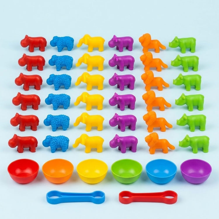 Sorting toy set with animal pieces arranged in coloured columns above six rainbow bowls and red and blue tweezers on a pale blue background.