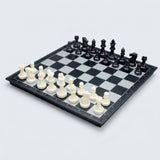 Ludo game set shown with a chessboard side up, black and white chess pieces arranged in starting positions on a plain light background.