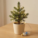 Warm white LED string light wraps a small potted Christmas tree on a wooden table, with its attached clear USB controller beside the pot.