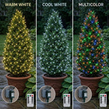 LED string light color options labeled Warm White, Cool White, and Multicolor illuminate potted trees outdoors, with remote controls and adapter insets.