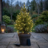 A small potted Christmas tree with warm white string lights, set on a stone patio in a garden at dusk. The dark pot sits on a stone patio with a power adapter and cable on the ground, and a lantern is visible to the left.
