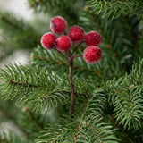 An artificial berry pick has six red berries with white speckling on a twisted brown stem among green pine needles.