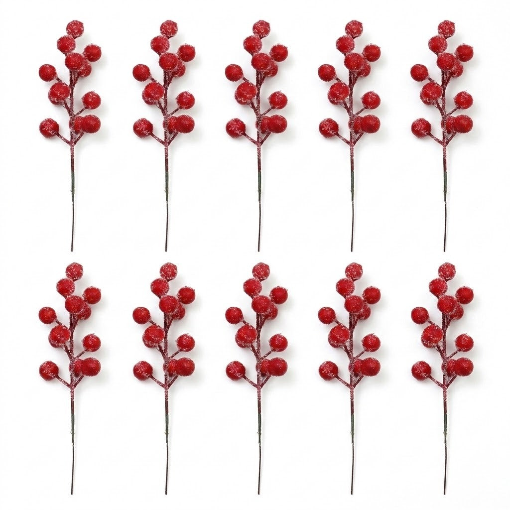 Ten frosted red berry picks with long dark stems are arranged in two rows of five on a white background.
