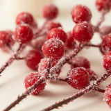 Red berry picks have white frost-like flecks on round berries and brown branching stems, shown close up against a cream background.