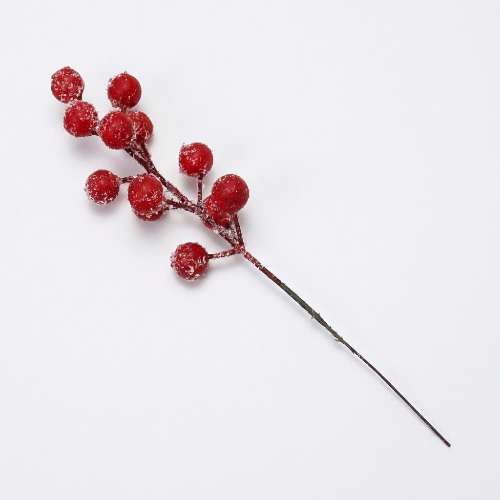 A single frosted red berry pick with branching brown stems and a long dark stalk lies diagonally on a white background.