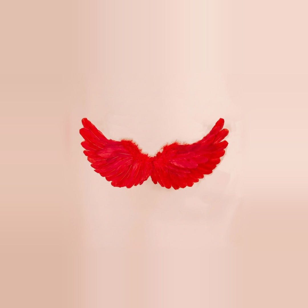 Red feather costume wings have upward-curving tips and fluffy trim along the upper edge against a pale peach background.