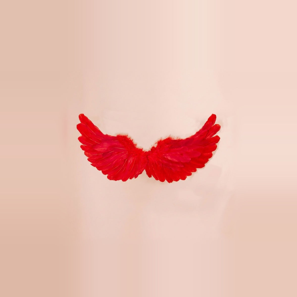 Red feather costume wings have upward-curving tips and fluffy trim along the upper edge against a pale peach background.