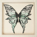 Translucent fairy wings with pale green reflections, black glitter patterns, and pointed lower tips lie within a recessed cream panel.