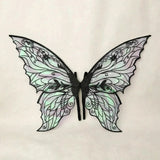 Fairy wings with black floral patterns, iridescent panels, and scalloped edges spread against a cream background.