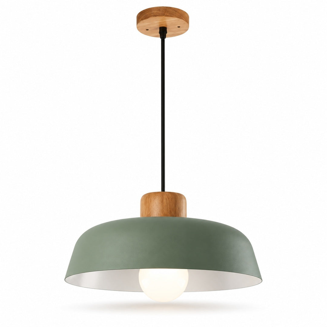 A modern pendant light with a matte sage green dome shade, a natural wood accent, a black suspension cord, and a glowing light bulb, shown against a plain white background.