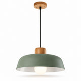 A modern pendant light with a matte sage green dome shade, a natural wood accent, a black suspension cord, and a glowing light bulb, shown against a plain white background.
