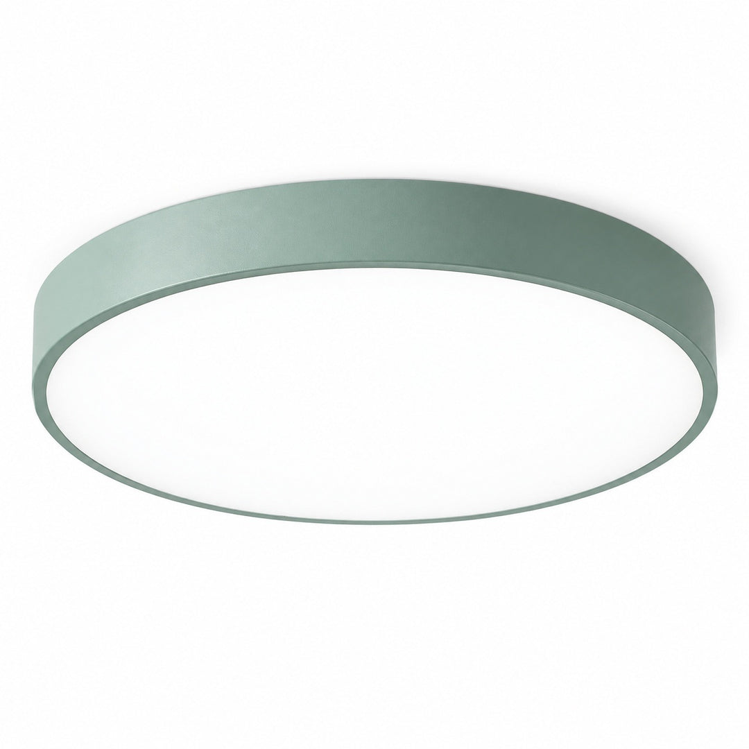 Round flush-mount ceiling light with a sage green rim and white diffuser, viewed from below against a white background.