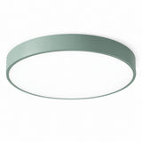 Round flush-mount ceiling light with a sage green rim and white diffuser, viewed from below against a white background.