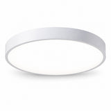 Round flush-mount ceiling light with a white rim and white diffuser, viewed from below against a white background.