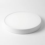 Round white ceiling light with a shallow rim and white diffuser, shown at an angle against a white background.