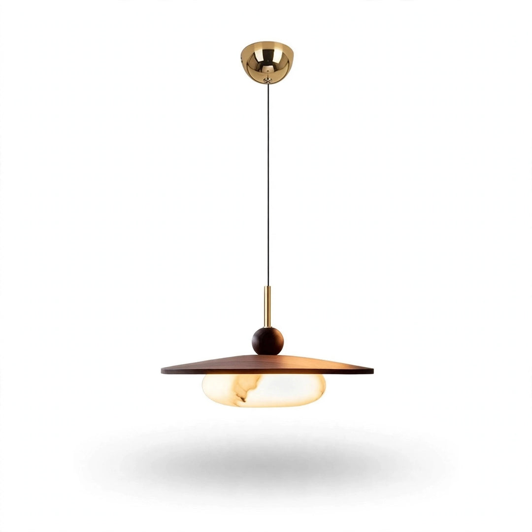 A modern pendant light fixture with a brushed gold ceiling canopy and cord, a dark brown wooden shade, and a glowing warm white globe bulb, shown against a plain white background.