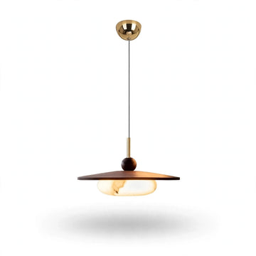 A modern pendant light fixture with a brushed gold ceiling canopy and cord, a dark brown wooden shade, and a glowing warm white globe bulb, shown against a plain white background.