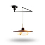A modern industrial-style pendant light fixture with a matte black ceiling mount and arm, a brass suspension rod, a dark wood shade, and a warm glowing glass globe bulb, shown against a plain white background.