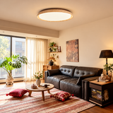 A modern circular flush-mount ceiling light with a natural wood rim and glowing white diffuser, installed in a warm, contemporary living room with a black leather sofa, patterned rug, and plants.