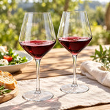 Two stemmed Bordeaux-style Tritan cups used at an outdoor picnic table.