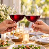 Two rounded Burgundy-style Tritan cups raised for a toast at a gathering.